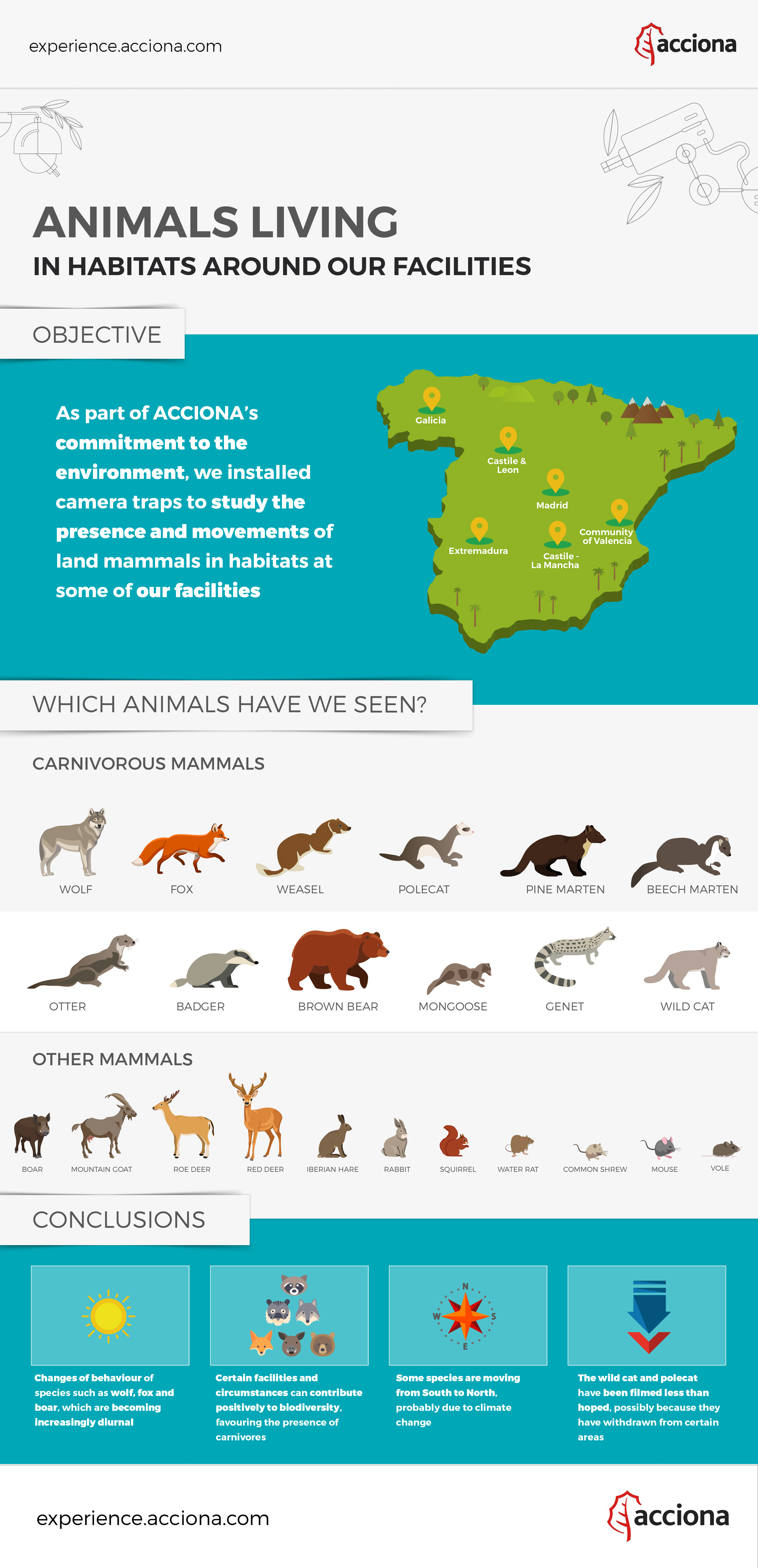 ACCIONA's camera traps infographic