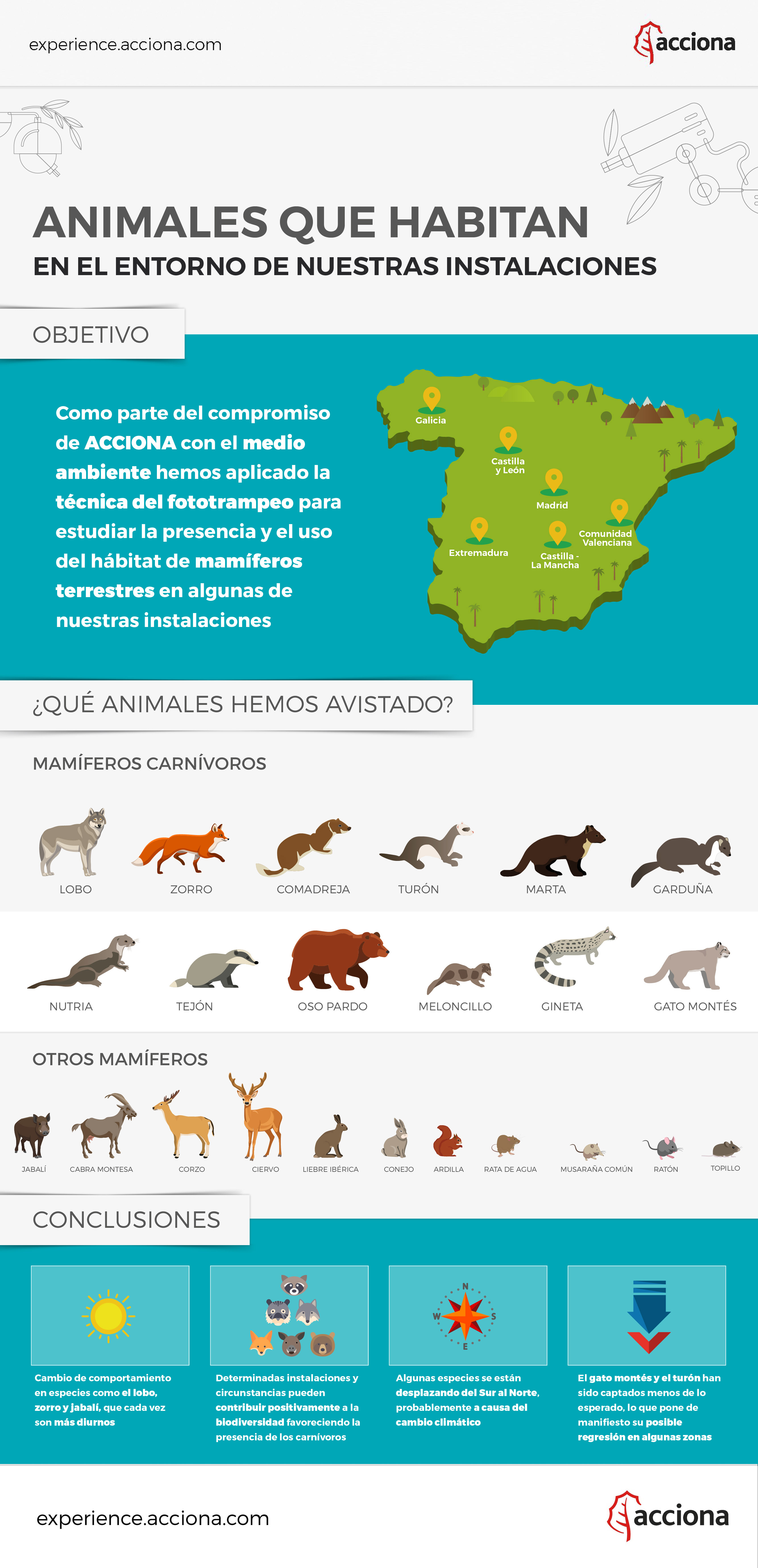 Infografía del fototrampeo de ACCIONA